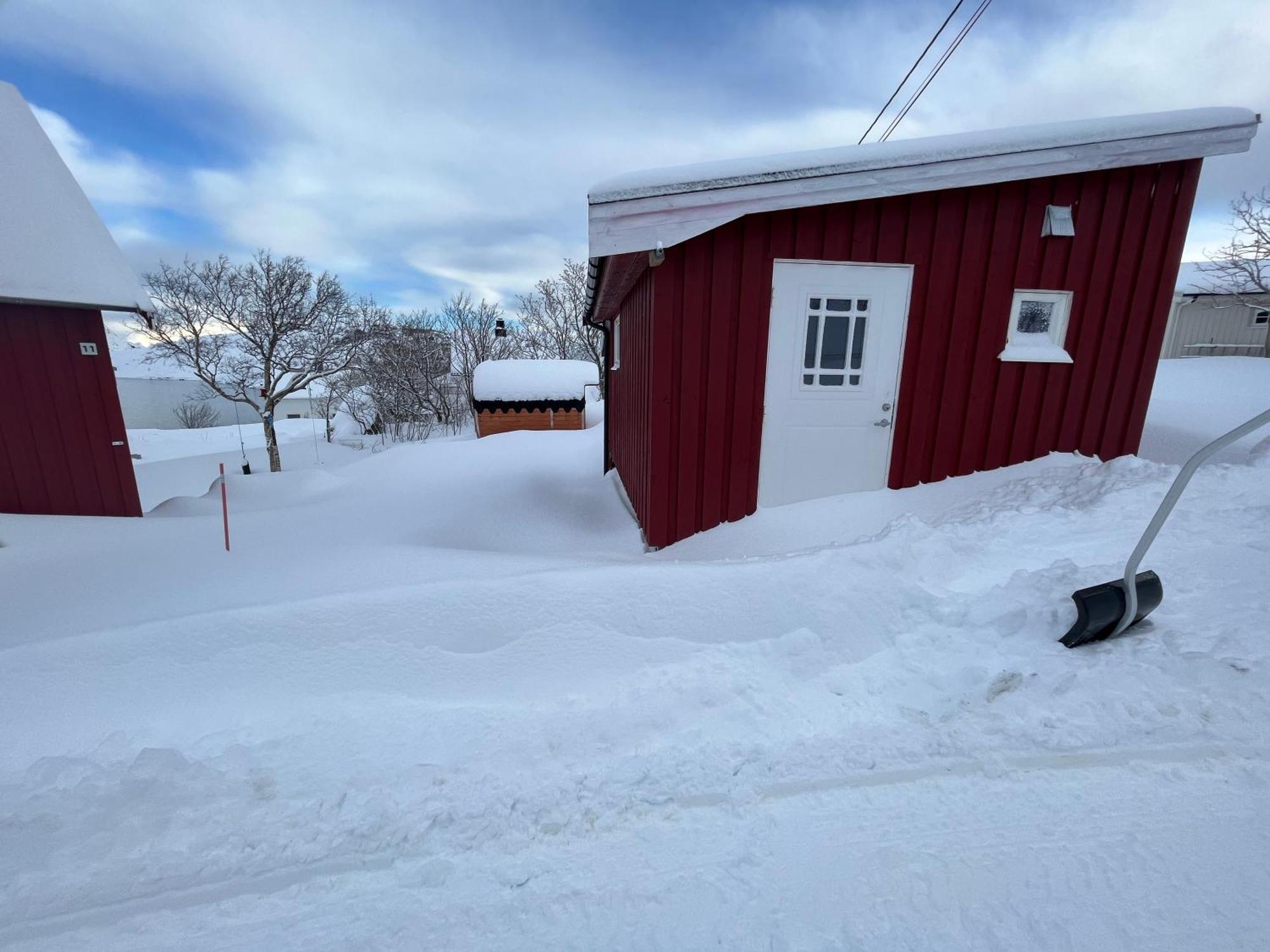 Villa Reinefjord Panorama Moskenes Exterior foto